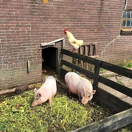 Bed and Breakfast Droomgaerd Vlist