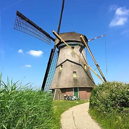 Droomgaerd 3*