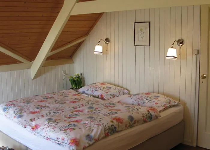 Droomgaerd Oda ve Kahvaltı Vlist