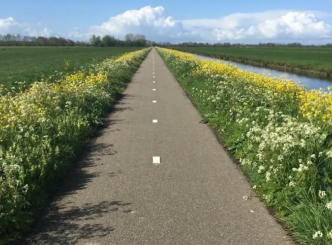 Droomgaerd Oda ve Kahvaltı